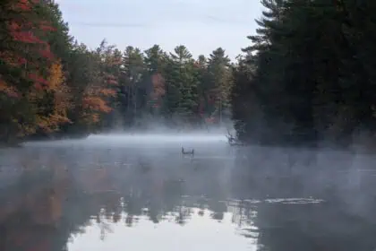 humidity in Quebec-2407 - Météo Québec : humidex 40 et orages violents imminents